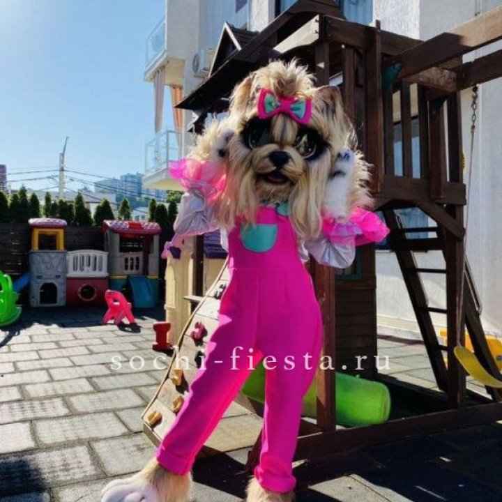 Аниматор Гламурная Собака в Калуге