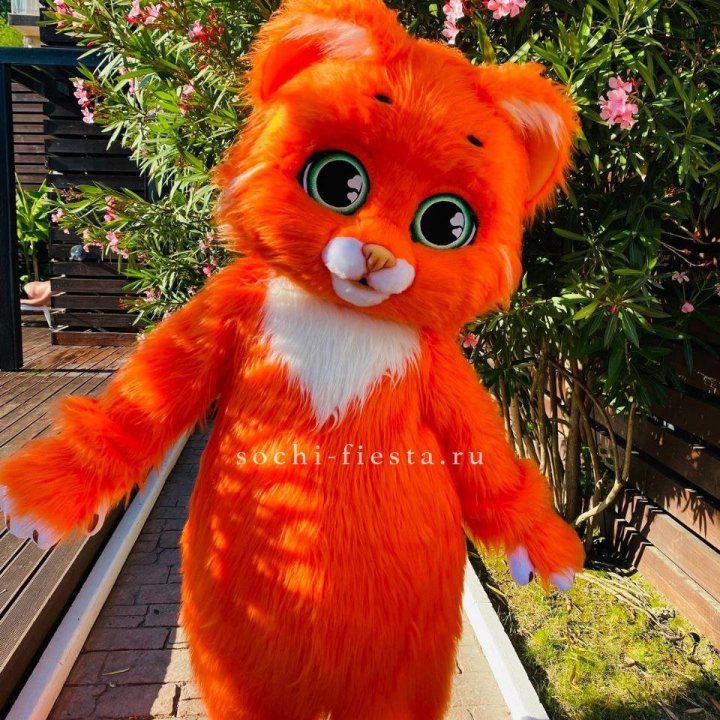 Аниматор Котик в Калуге