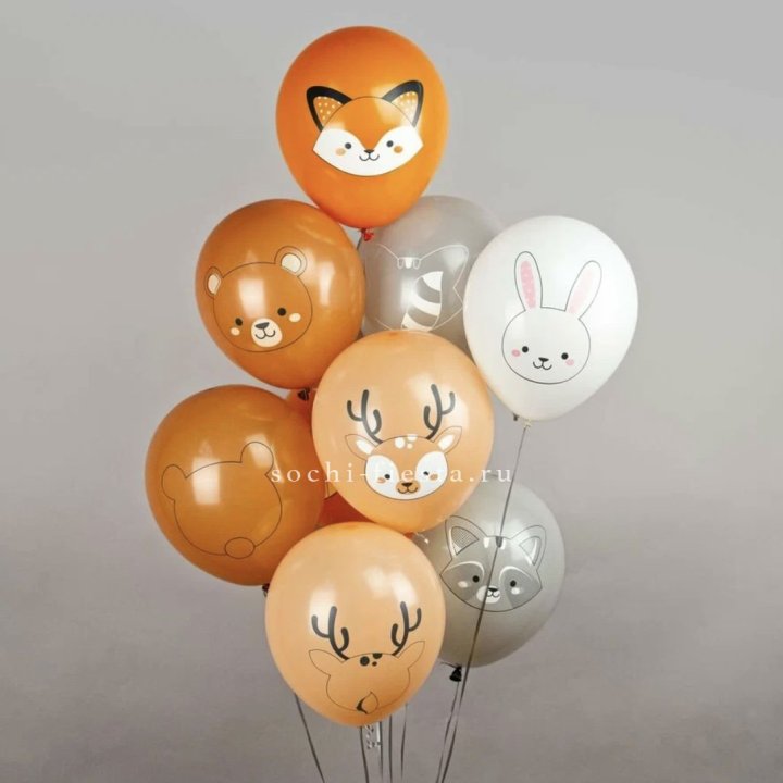 Воздушный шар "Животные" в Калуге