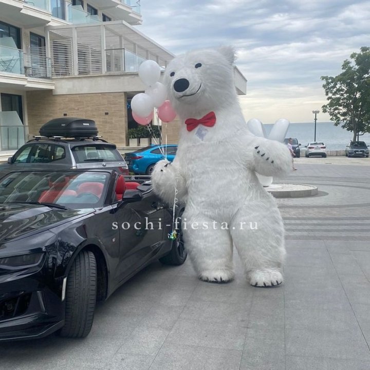 Аниматор Белый Медведь в Калуге