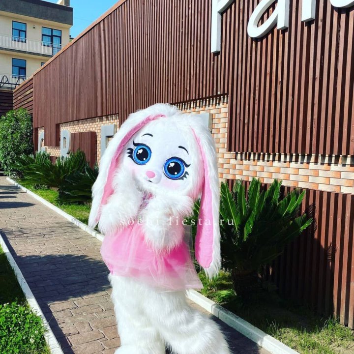 Аниматор Зайка в Калуге