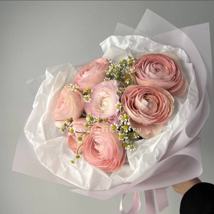 Ранункулюсы с ромашками в Калуге