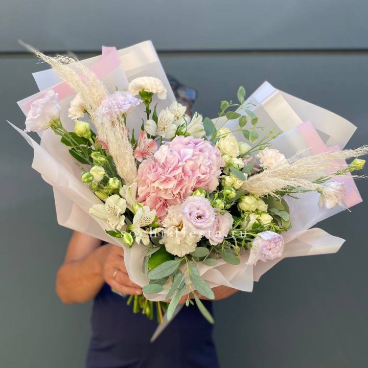 Гортензия "Пинк флоид" в Калуге