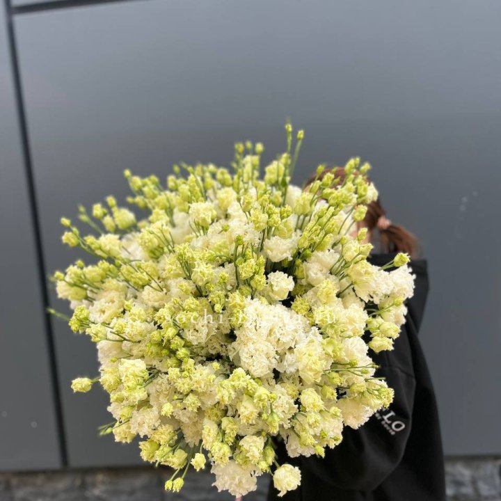 51 белая эустома в Калуге