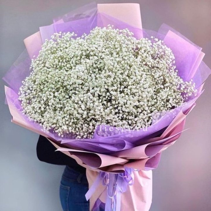 Облако белых гипсофил в Калуге