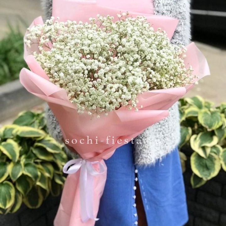 Белоснежные гипсофилы в Калуге