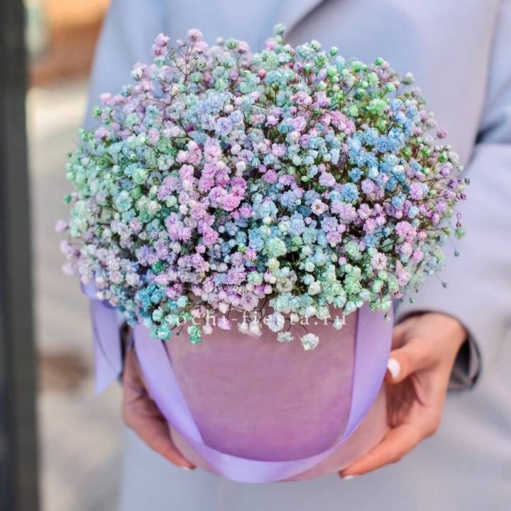 Гипсофилы в шляпной коробке "Кандилайт" в Калуге