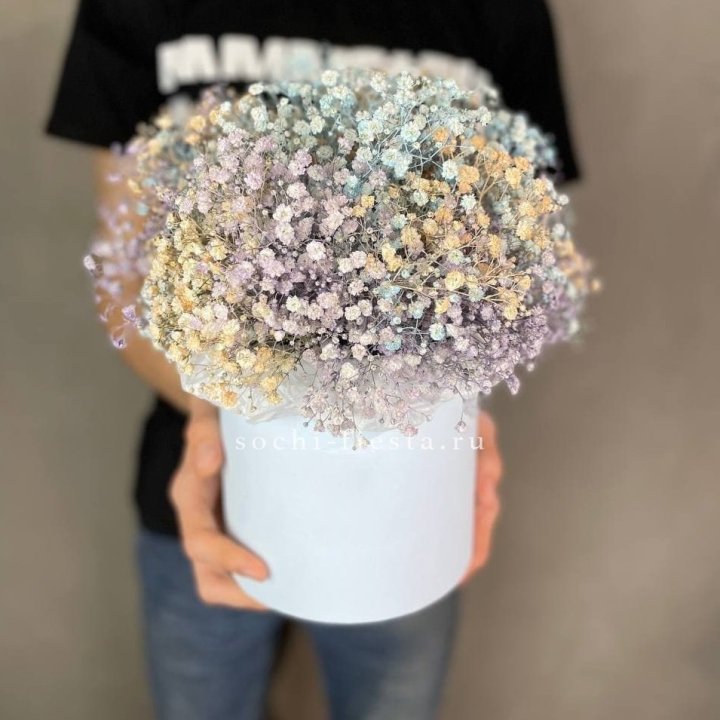 9 Радужных гипсофил в шляпной коробке в Калуге