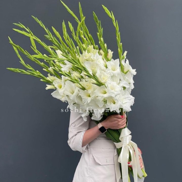 19 белых гладиолусов под ленту в Калуге