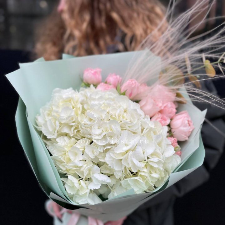 Гортензия "Жасмин" в Калуге