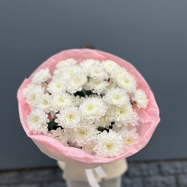  5 хризантем  в Калуге