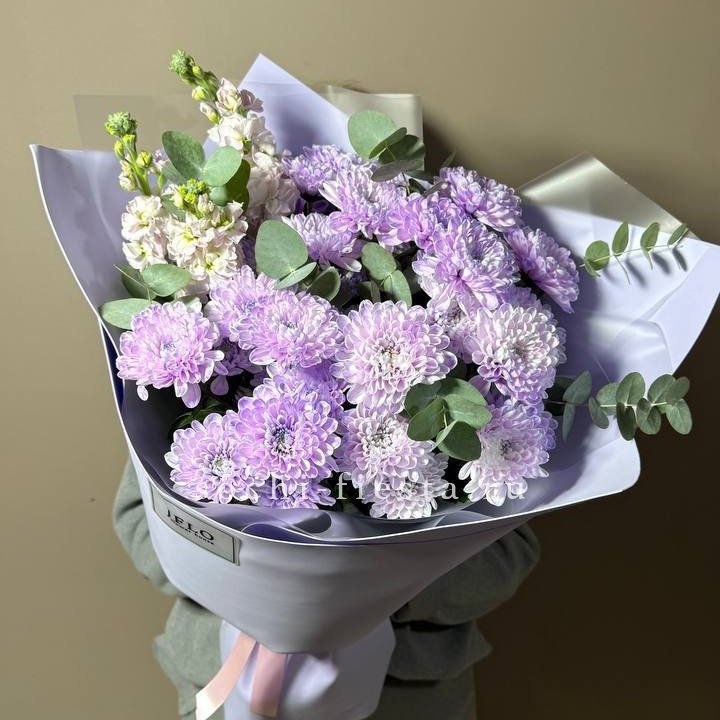 Дуо хризантема и маттиола в Калуге