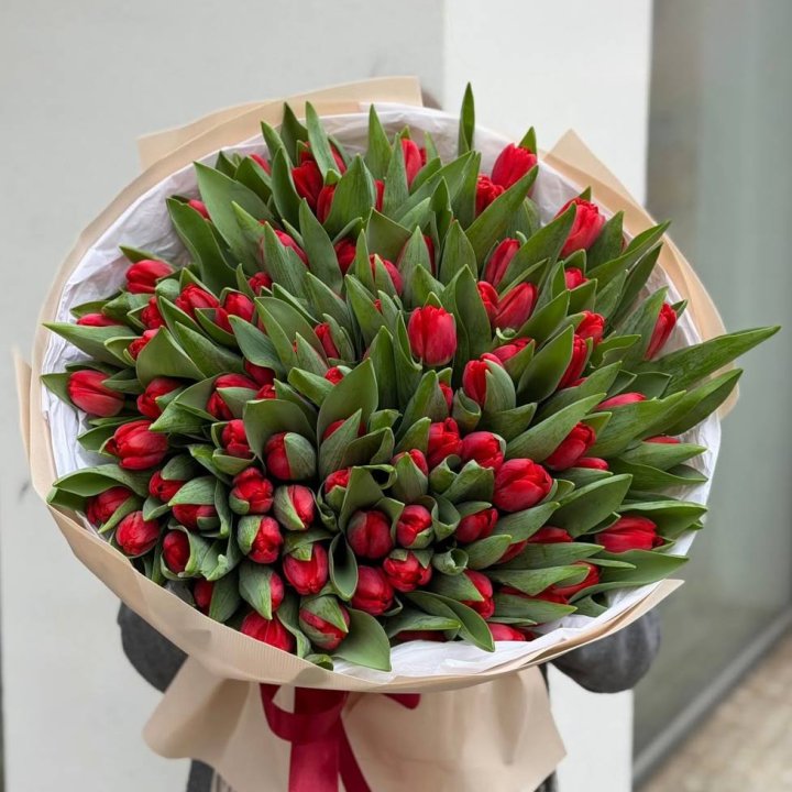 101 красный тюльпан в Калуге