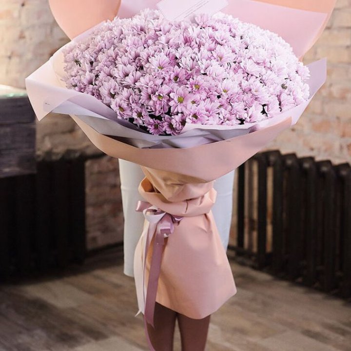 Облако хризантем №1 в Калуге