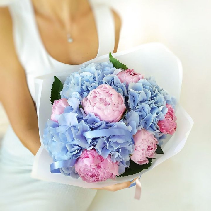 Гортензия и Пионы в Калуге