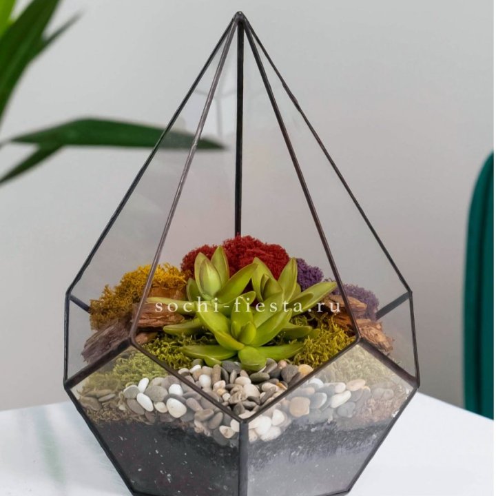 Флорариум Капля с суккулентом в Калуге