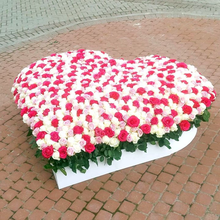 555 роза  в Калуге