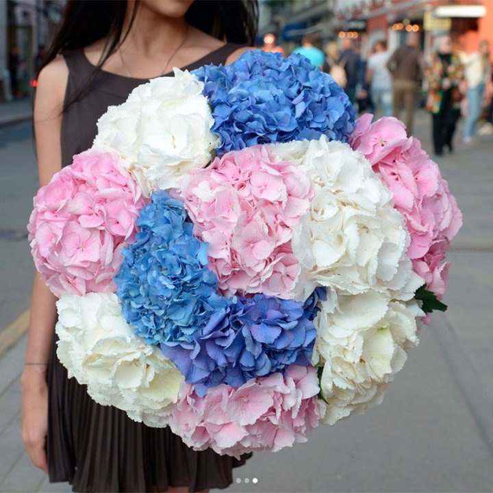 Букет гортензий "Инь-Янь" в Калуге