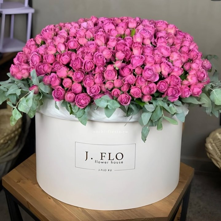 Цилиндр с Мисти Бабблс  в Калуге