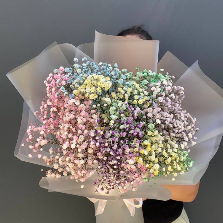 Радужные гипсофилы  в Калуге