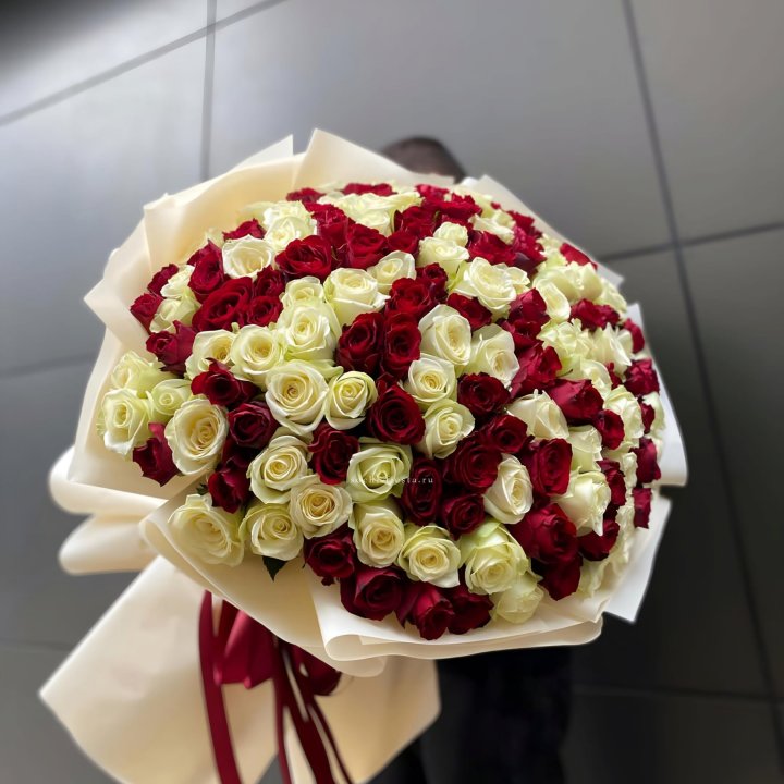 101 высокая импортная роза  в Калуге