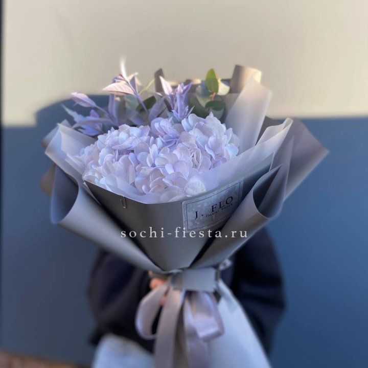 Гортензия "Виолета" в Калуге