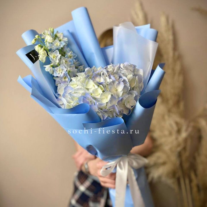 Гортензия "Блю скай" в Калуге