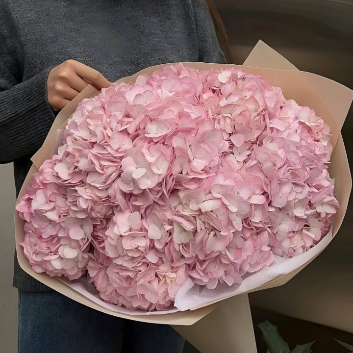 Гортензия  "РОЗЕ" в Калуге