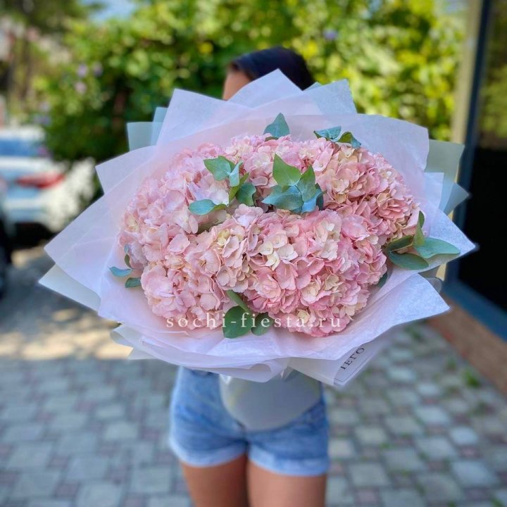 5 розовых гортензий  в Калуге