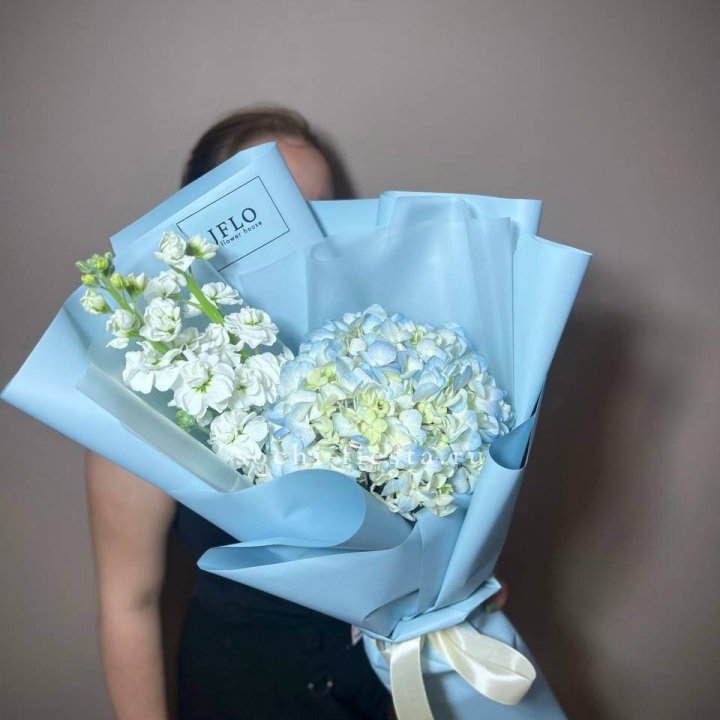 Гортензия голубая с маттиолой в Калуге