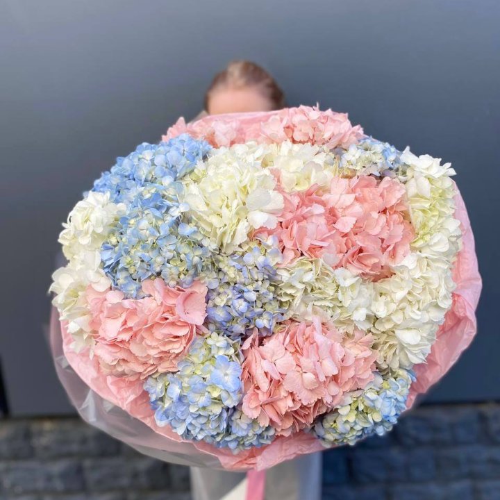 19 гортензий микс в Калуге