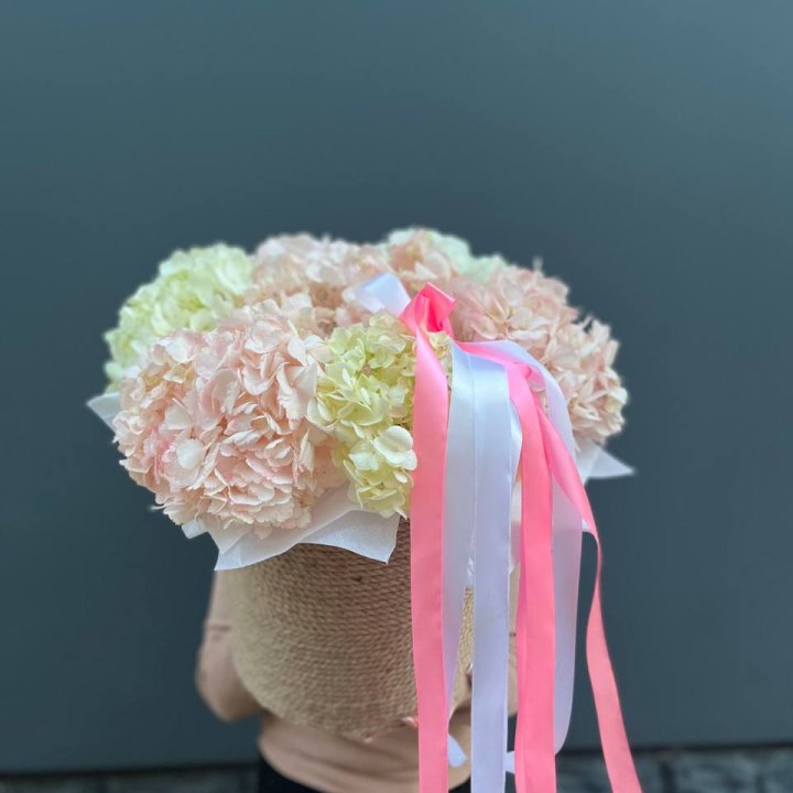 7 гортензий в кашпо в Калуге