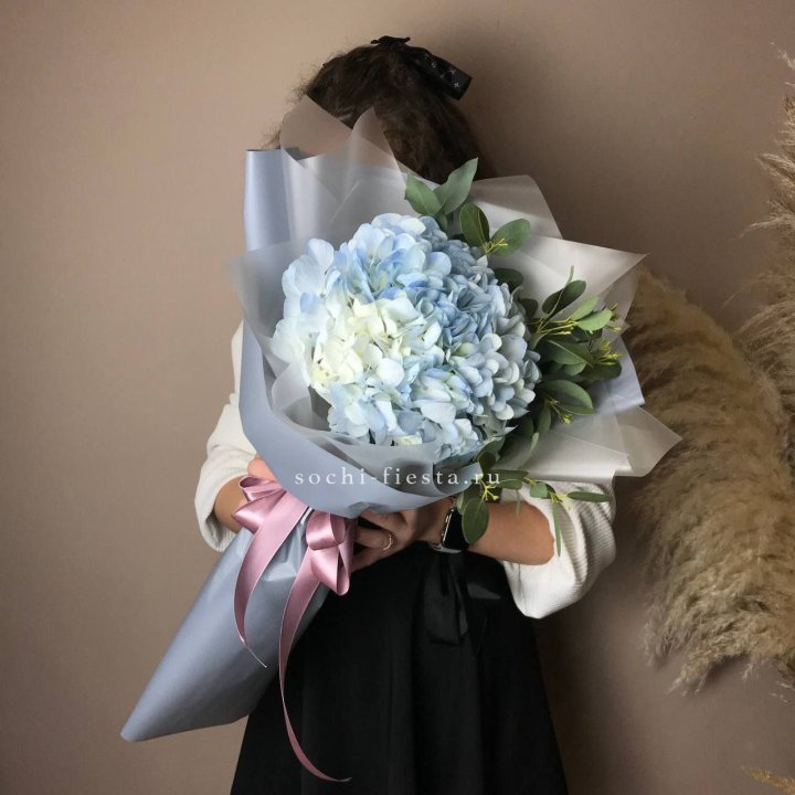 Гортензия Уно в Калуге