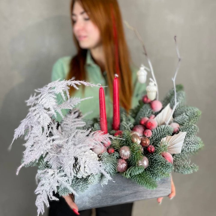 Бокс красный с нобилисом в Калуге