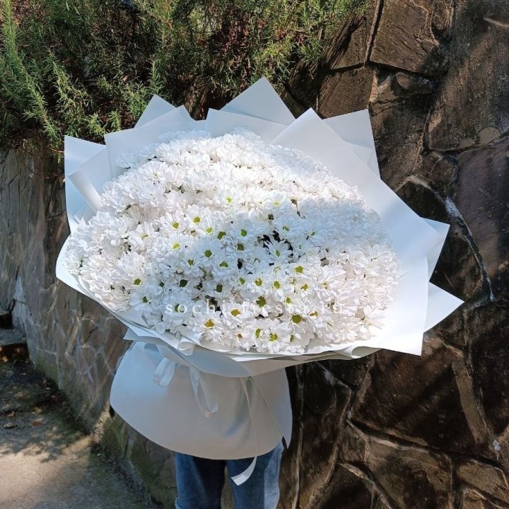 Облако хризантем №2 в Калуге