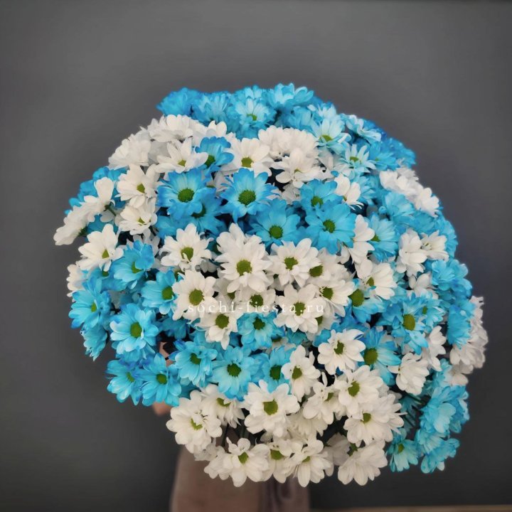  Букет хризантем микс в Калуге