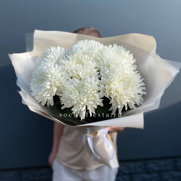 Профитроли в Калуге