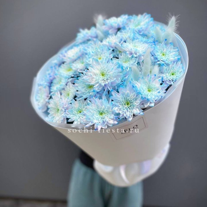  Букет нежно-голубых хризантем  в Калуге