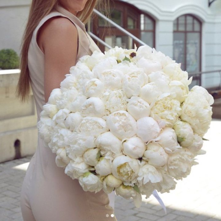 51 белый пион в Калуге