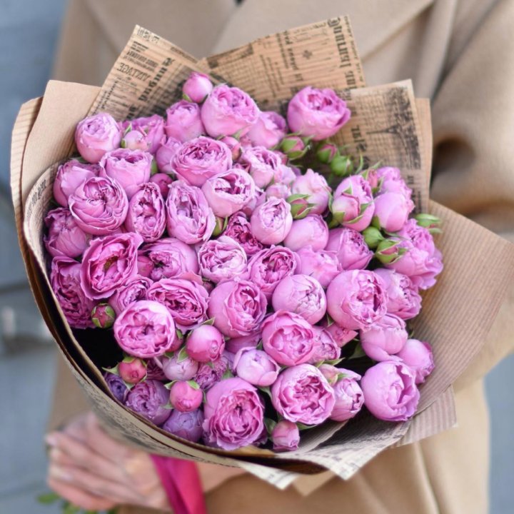 Роза Мисти Баблс в Калуге