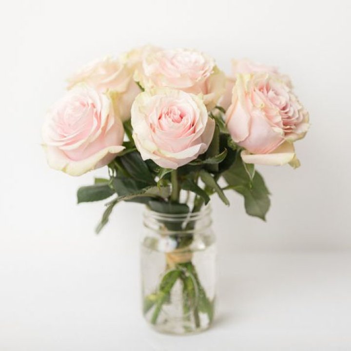 7 кремовых роз в Калуге