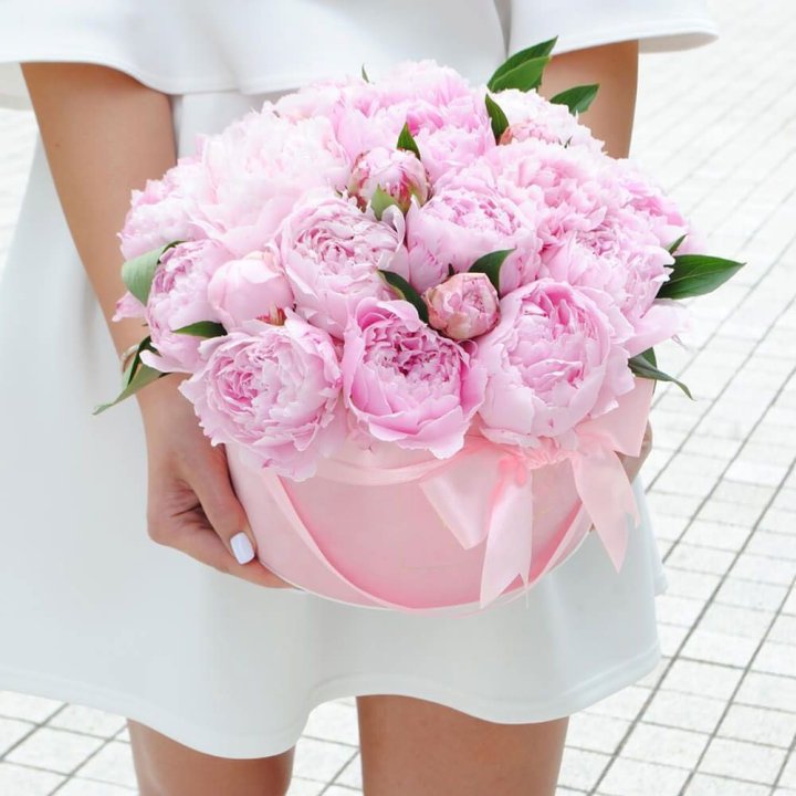 Пионы в шляпной коробке в Калуге