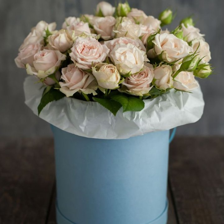 Бокс с бомбастиком в Калуге