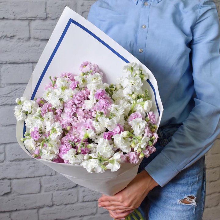 Маттиола в Калуге