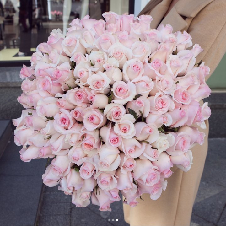 Розы "Пинк бум" в Калуге