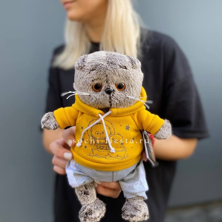 Кот Басик в худи в Калуге