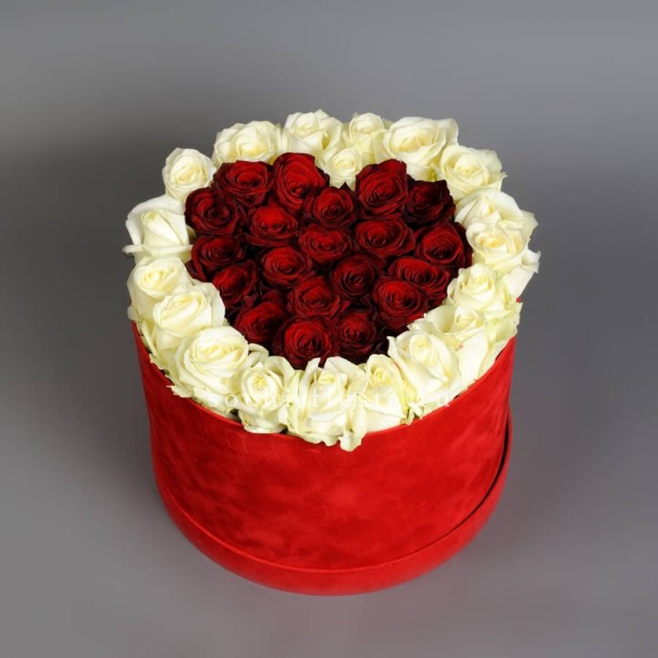 39 красных и белых роз в цилиндре в Калуге