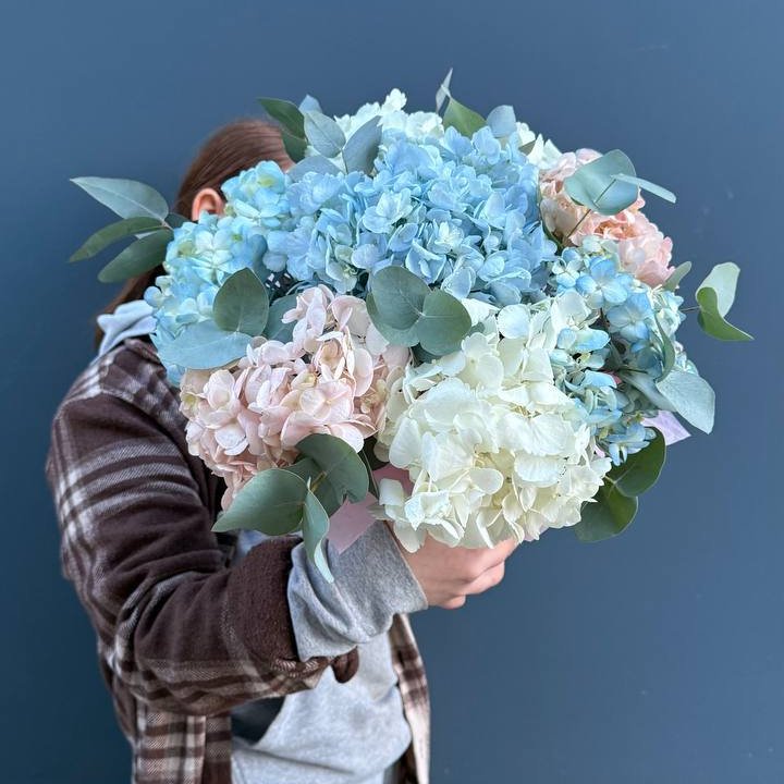 Гортензии в коробочке в Калуге