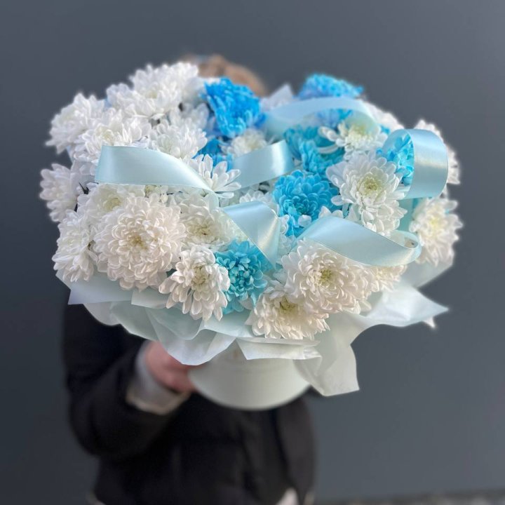 Хризнтемы в боксе в Калуге