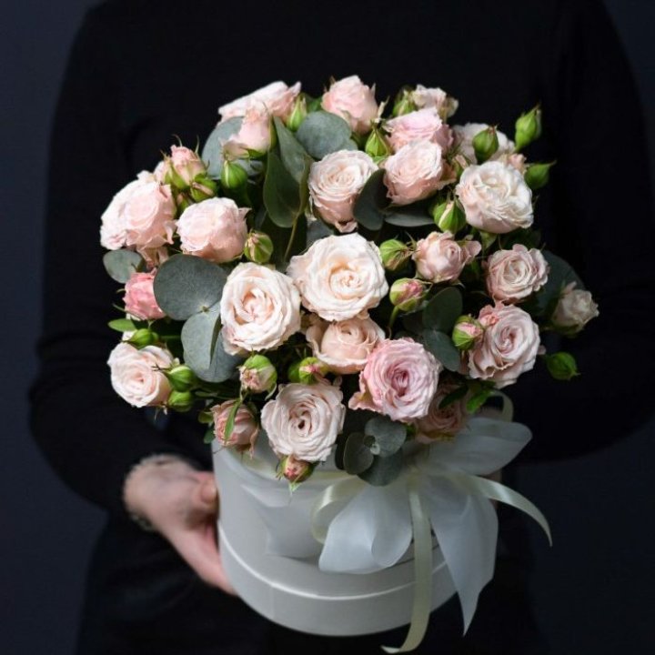 Бомбастик бокс №2 в Калуге